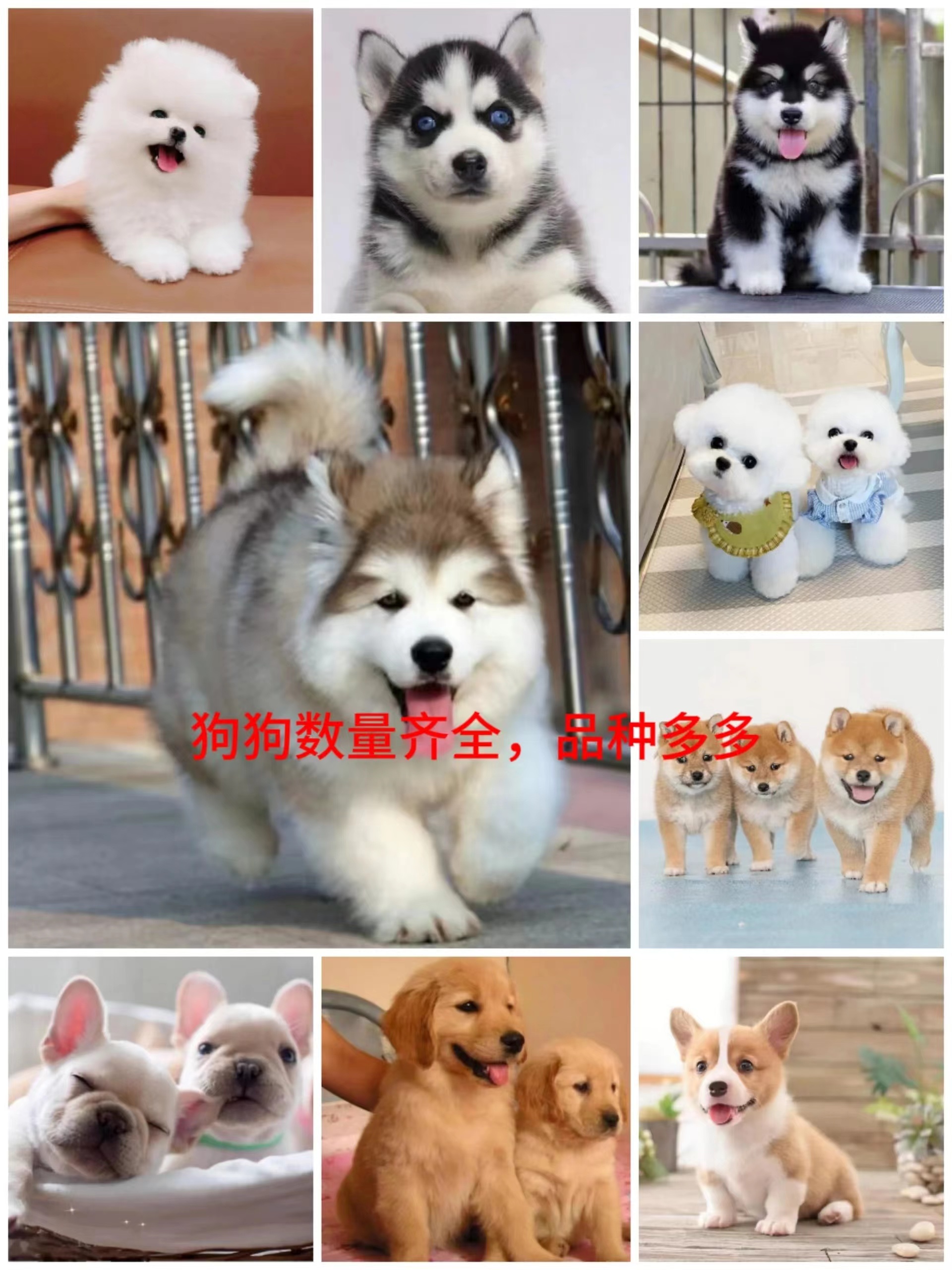 微信图片_20240426210350.jpg